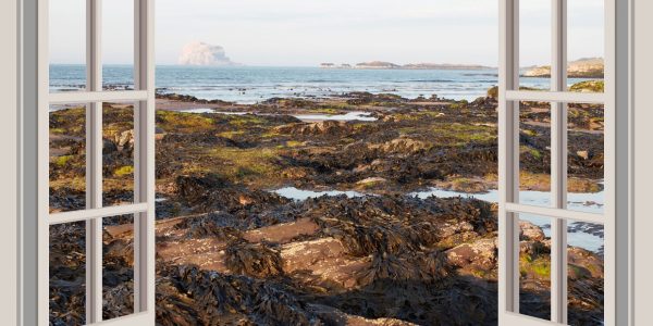 Fenêtres pvc sur mesure : un choix judicieux pour votre habitat